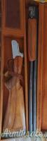 Saga pulcher Trap  12