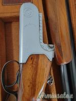Saga pulcher Trap  12