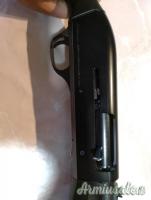 Benelli m1 12