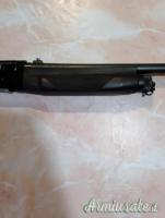 Benelli m1 12