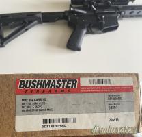 Bushmaster XM15 .223 Remington