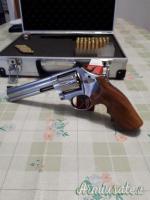 S&W 686-6  .357 Magnum  |  9x31mmR  | .353 Casull