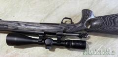 x-bolt eclipse varmint  .223 Remington