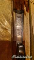 Rizzini Omnium 12