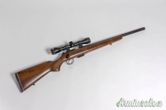 #31 Carabina CZ mod. 455