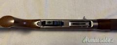 Benelli RAFFAELLO SL 12