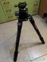 Treppiede Vortex radian carbon