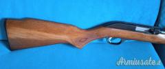 Carabina Marlin 60 Microgroove cal..22 LR