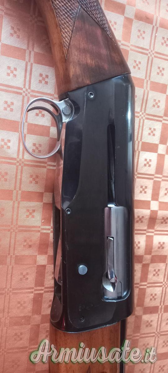 Accuracy Belladonna Terzilio 12 Accuracy Belladonna Terzilio 12