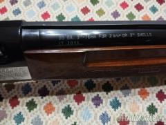 ATA ARMS Semiautomatico  20