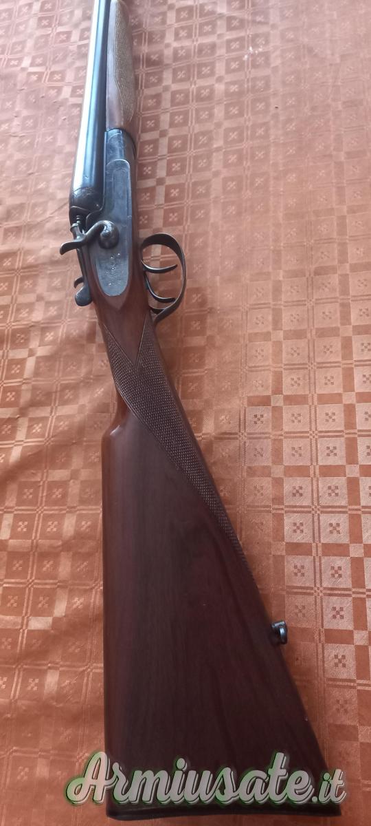 Lauro Macchi Cani esterni 12 Lauro Macchi Cani esterni 12