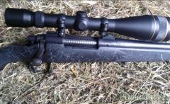 Ottica Leupold 6,5-20x50