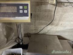 Materiale di ricarica per .32 WAD CUTTER