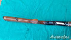 Altair Special 12