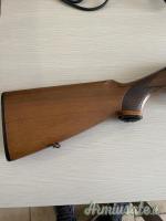 Beretta 301 12
