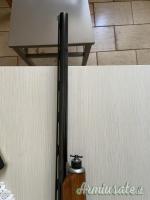 Beretta 301 12