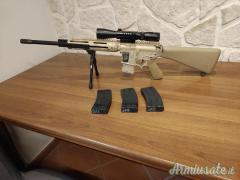 M4 custom DMR