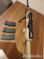 M4 custom DMR