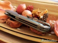 Lionsteel TRE