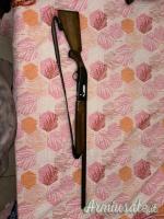 Beretta 300 12