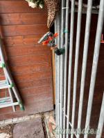 VENDUTO ….Cedo antiabbaio ad acqua modello Sentinelle