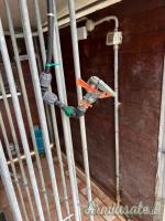 VENDUTO ….Cedo antiabbaio ad acqua modello Sentinelle