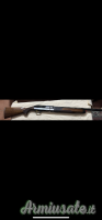 Benelli Montefeltro  20