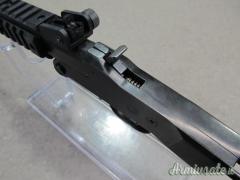 CHIAPPA LITTLE BADGER MONOCOLPO CAL 22 LR   RIF ARMIUS_6068  U074
