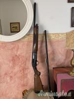 Beretta 301 12