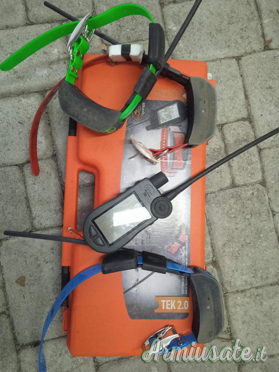 Palmare tek 2 Palmare tek 2