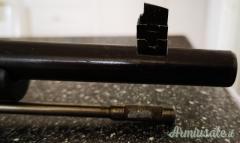 Mosin nagant tikka