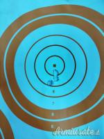Beretta Brx .300 Winchester Magnum