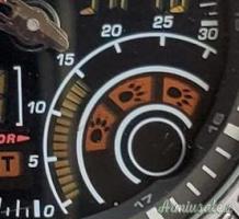 Casio Pathfinder Hunting - NUOVO