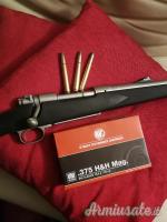 Winchester 70 stainless 375h&h