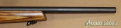 Remington 597 Cal. 22LR con Ottica