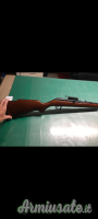 Winchester Cal. 22