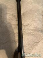 Gamo Gamo 4.5/.177