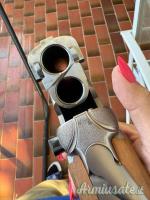 Beretta DT11 12