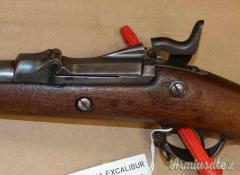 Carabina Springfield 1884 Cal. 450 Antica