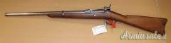 Carabina Springfield 1884 Cal. 450 Antica