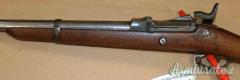Carabina Springfield 1884 Cal. 450 Antica