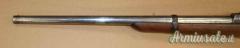 Carabina Springfield 1884 Cal. 450 Antica