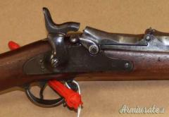Carabina Springfield 1884 Cal. 450 Antica