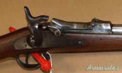 Carabina Springfield 1884 Cal. 450 Antica
