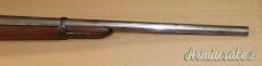 Carabina Springfield 1884 Cal. 450 Antica