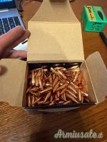 NOSLER PALLE 308