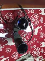 Binocolo Swarovski Habicht SL 10x50