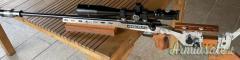 Anschutz 1907 .22 Long Rifle