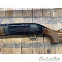 USATO – FUCILE SEMIAUTO – BERETTA MOD. A 301 cal. 12