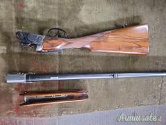 Beretta A.S.E. 12